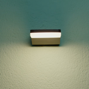 Forlight LIS - Foco Proyector de Jardín Solar con 3 Proyectores y 1 Placa Solar. Acero Inoxidable y Policarbonato Negro