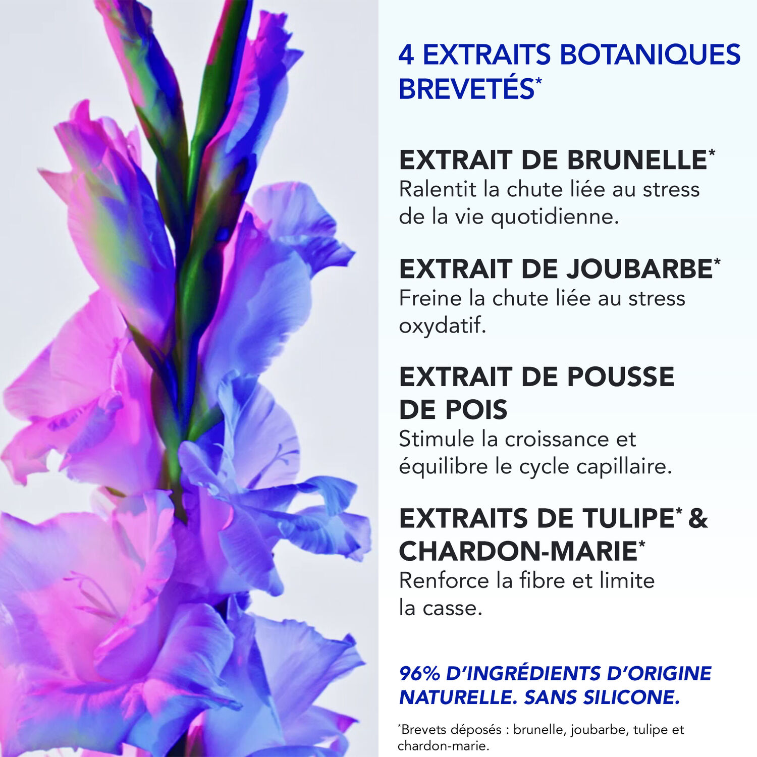 Phytophanere - Coffret Traitement + Shampooing Volume 100ml