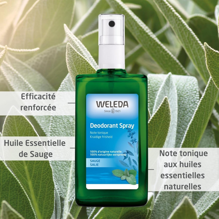 WELEDA - Trio Déodorant spray Sauge - 100% d'origine naturelle - Vegan* - Certifié Natrue** - Vaporisateur 100 ml  x 3