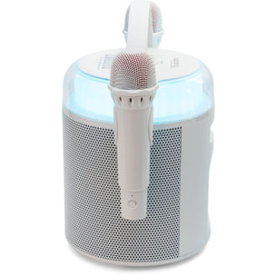 Enceinte sono IBIZA KARAHOME-WH