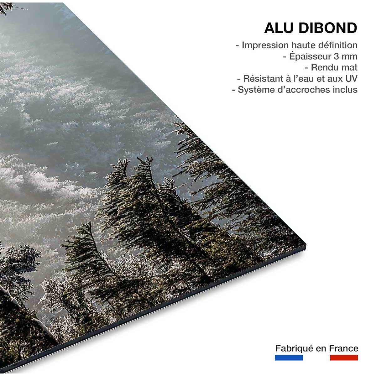 Tableau forest in fog drama Tableau alu Dibond