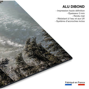 Tableau forest in fog drama Tableau alu Dibond