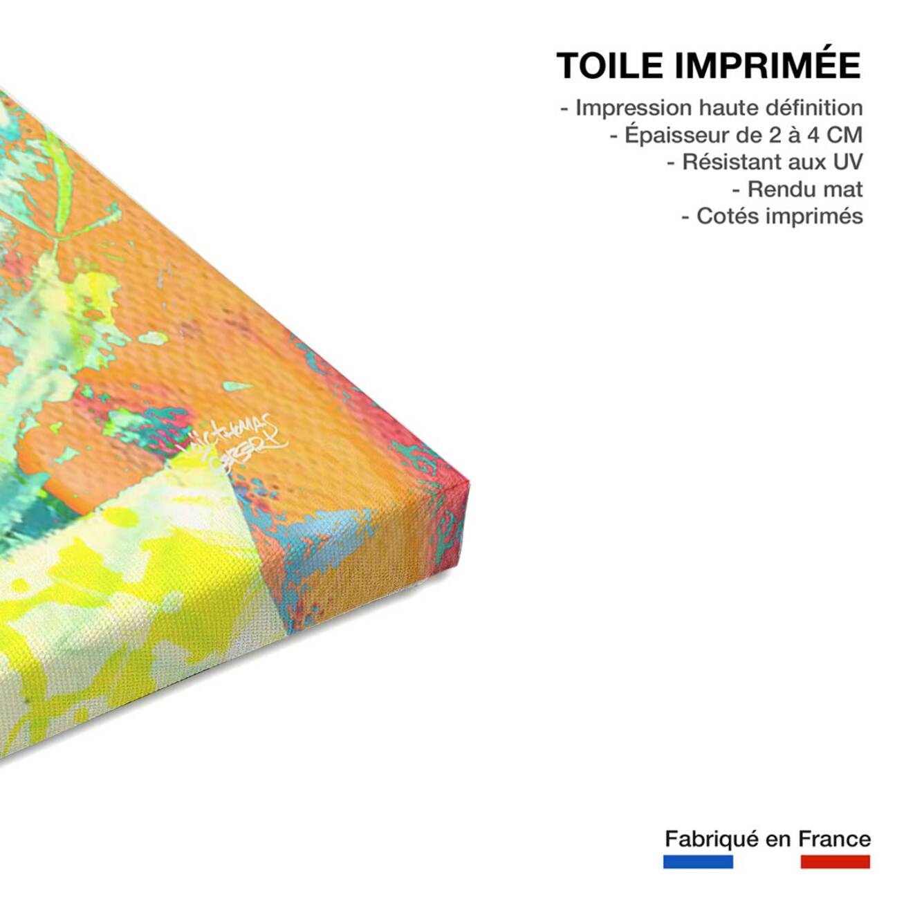 Tableau pop art goldorak graff  Toile imprimée