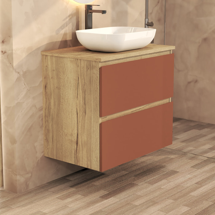 Ensemble de Salle de Bain Nia | Meuble Suspendu | 70 cm Scarlat | Deux Tiroirs |Lavabo sur Plan | Miroir non inclus | Meuble Monté | Alday
