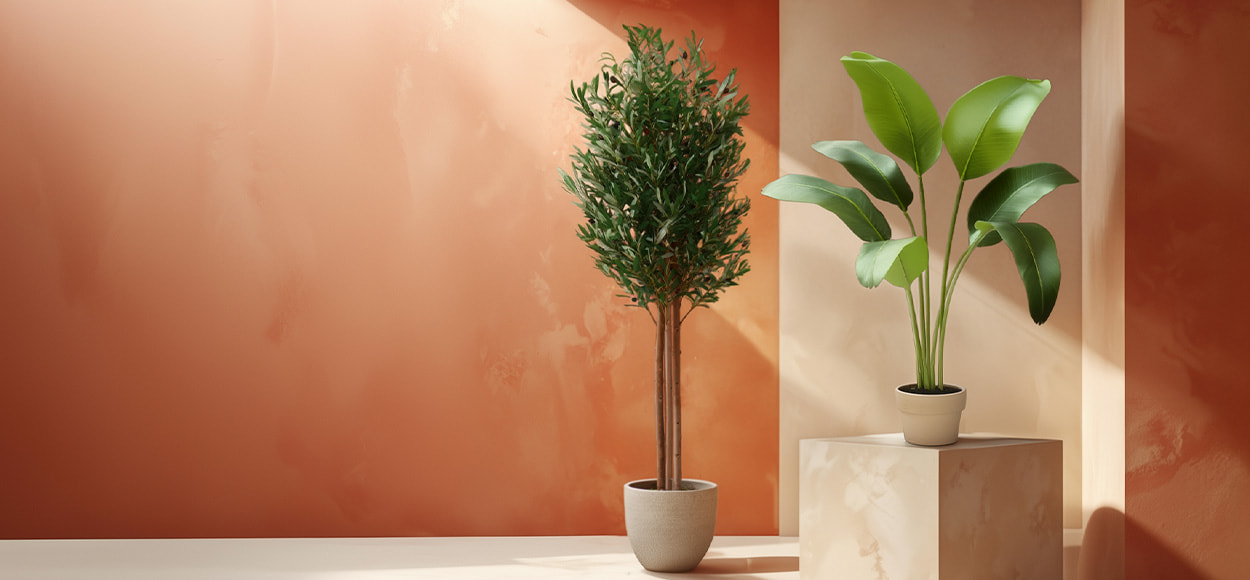 MAIA SHOP pas cher sur VEEPEE