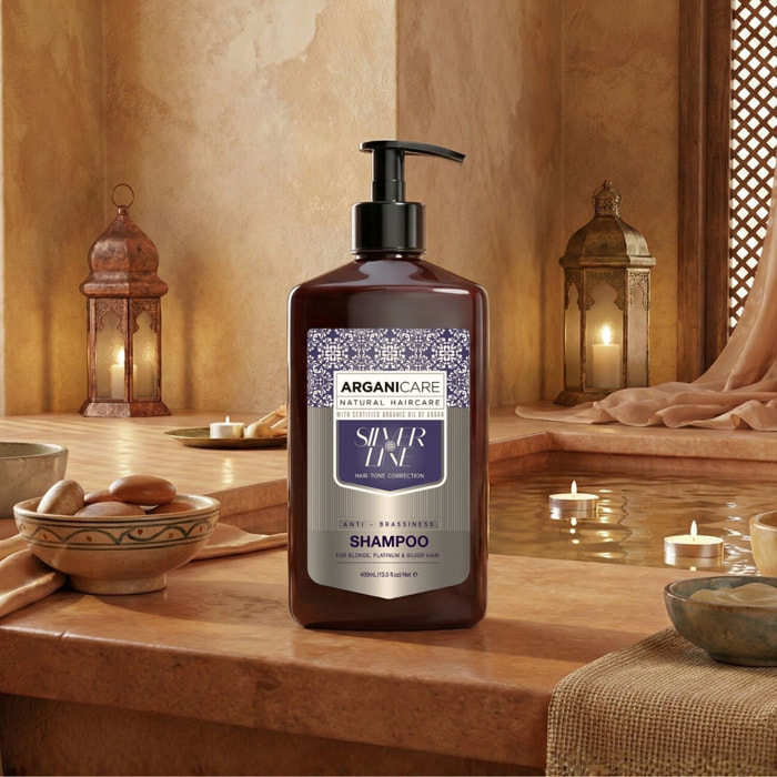 Silver - Shampooing Sublimateur pour Cheveux Blonds Naturels ou Colorés 400 ml
