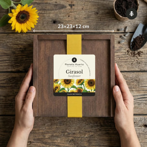 Kit de Cultivo de Girasol en Caja de Madera – Regalo Original Planeta Huerto