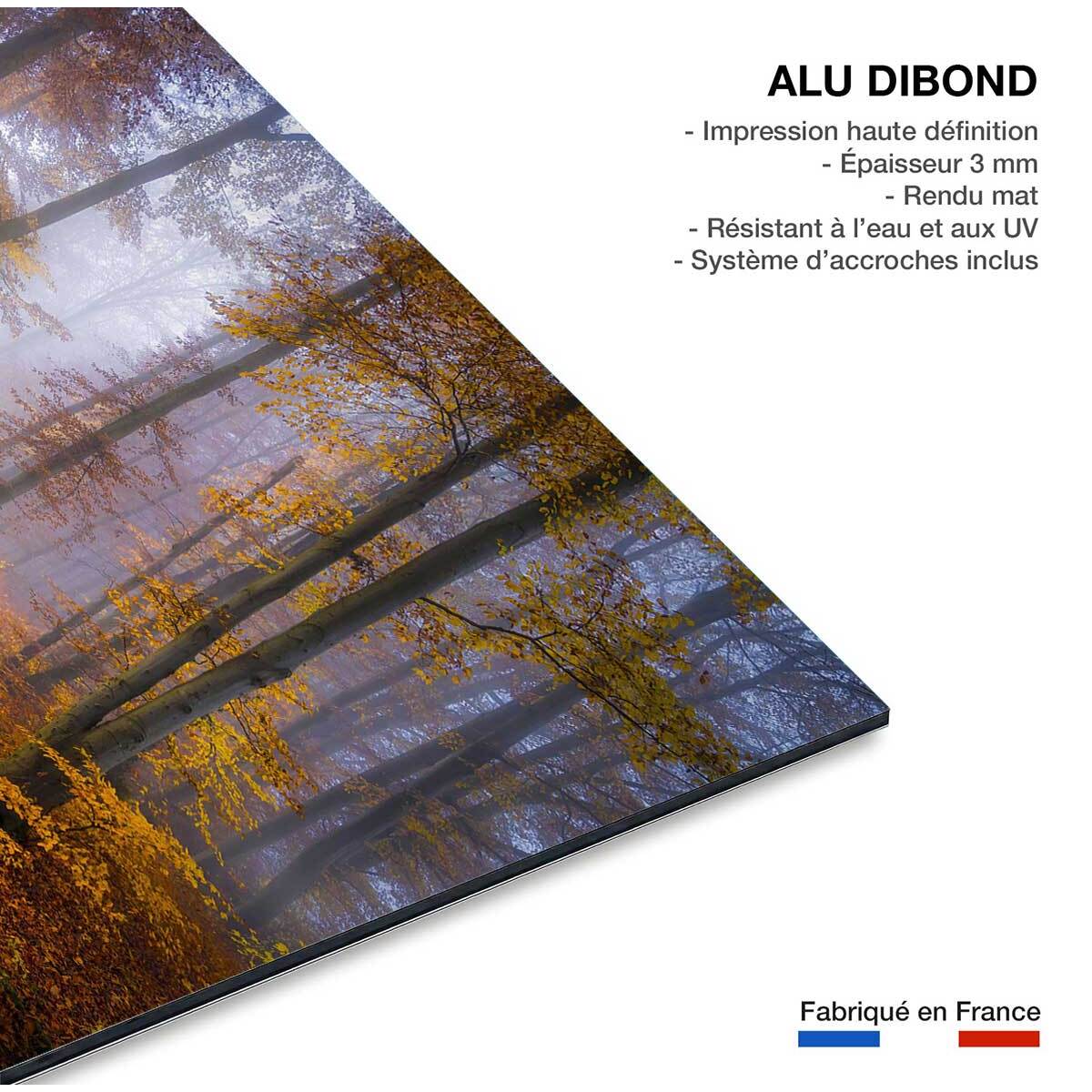 Tableau Chemin d'automne Tableau alu Dibond