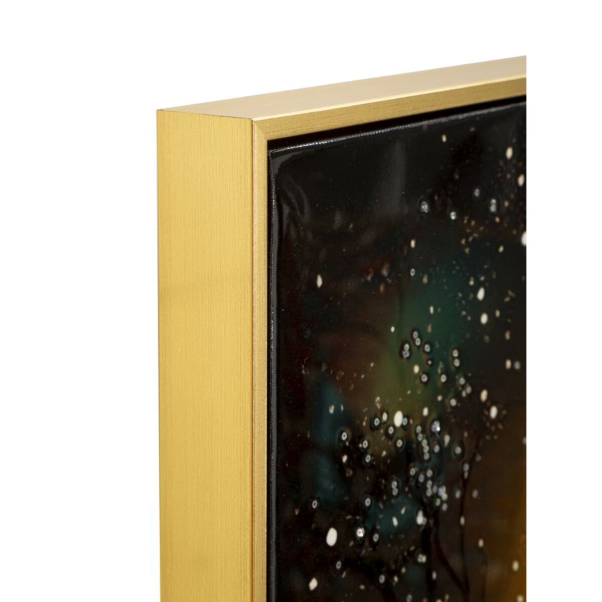 STAMPA DECORATA SU TELA LACCATA C/CORNICE 
PEACOCK CM 70X4
X100