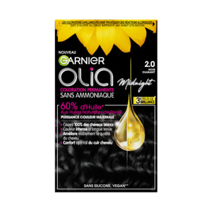 Garnier Olia Coloration 2.0 Noir Diamant