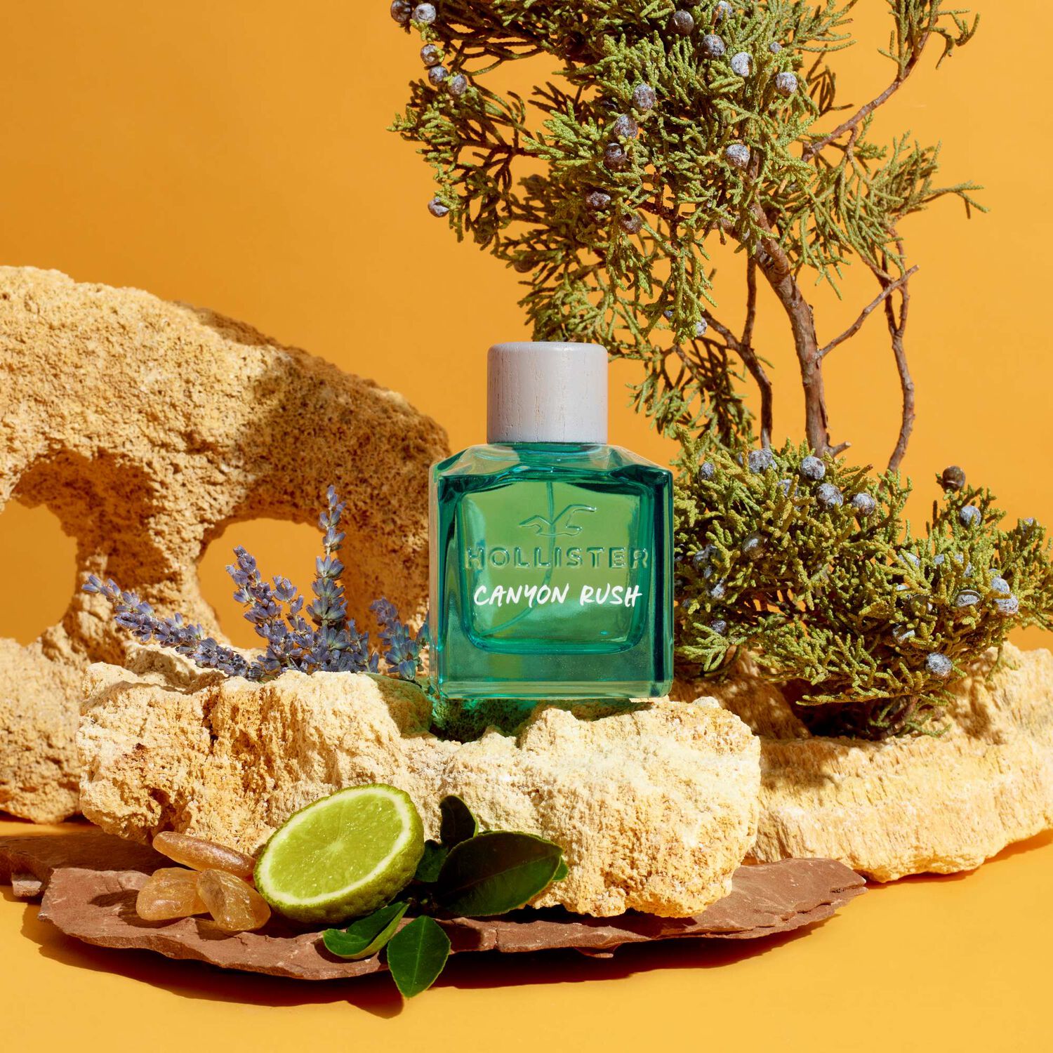 Canyon Rush For Him - Eau de Toilette 100 ml