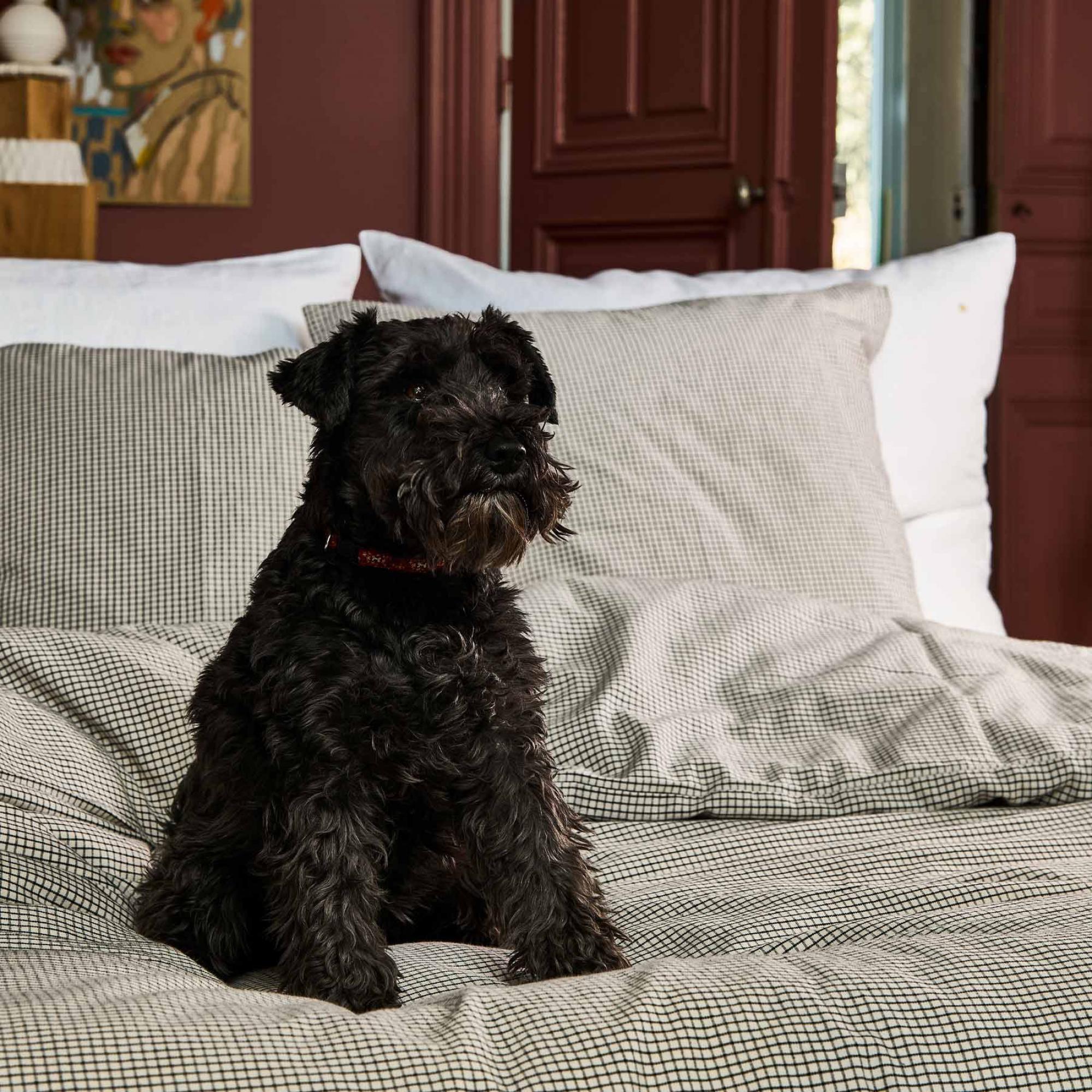 Taie d'oreiller Gustave