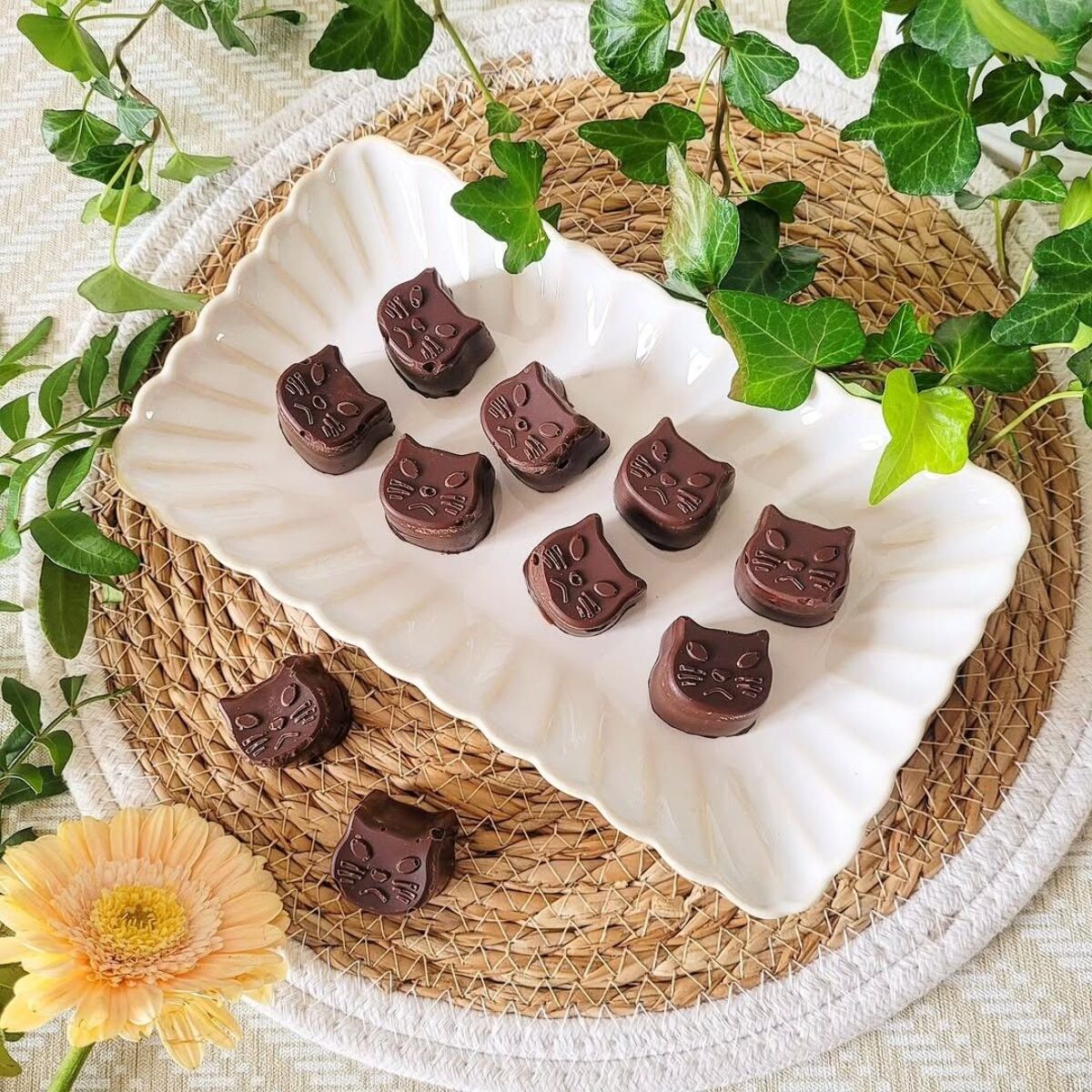 Lot de 6 petites assiettes rectangulaires, Coquillage