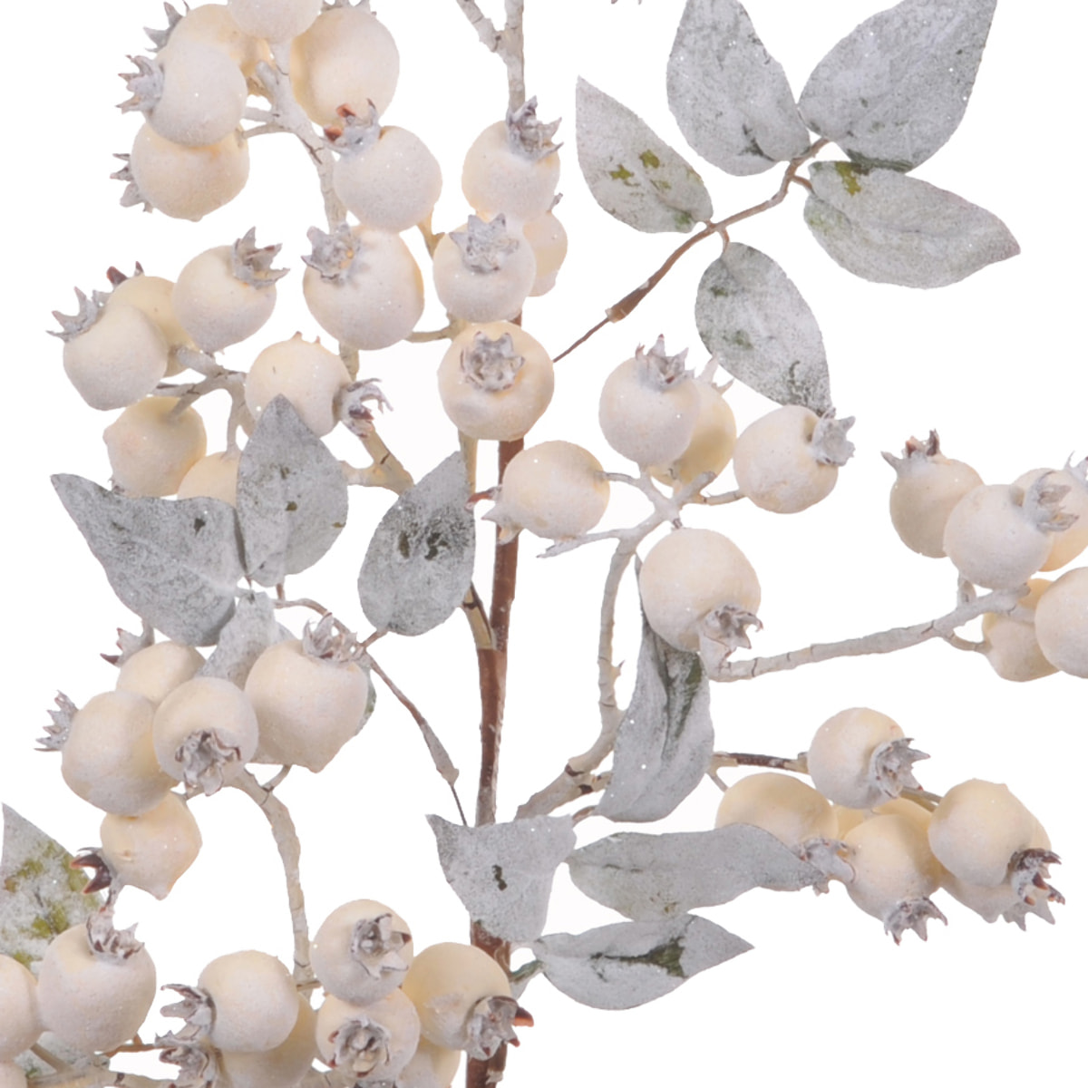 Ramo biancospino - Pezzi 6 - BIANCO - Bianchi Dino SpA