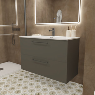 Meuble de Salle de Bain Vex | 100 cm Gris | Deux Tiroirs | Évier Encastré | Miroir non inclus | Meubles Assemblés | Alday