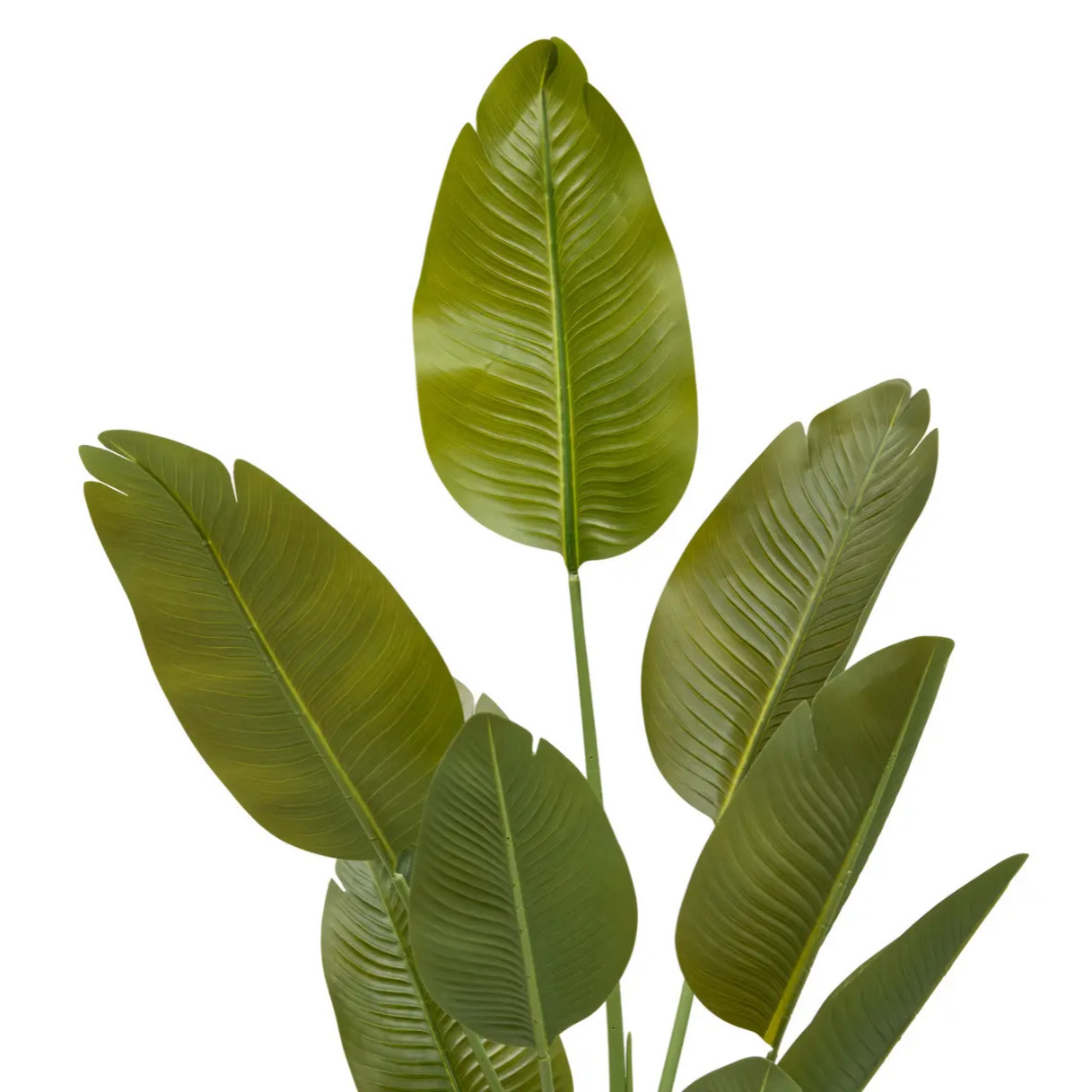 Bananier Artificielle Lora H140 cm avec Pot Blanc