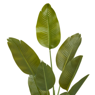 Bananier Artificielle Lora H140 cm avec Pot Blanc