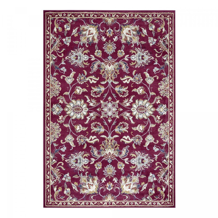 Tapis salon Rectangulaire Oriental
