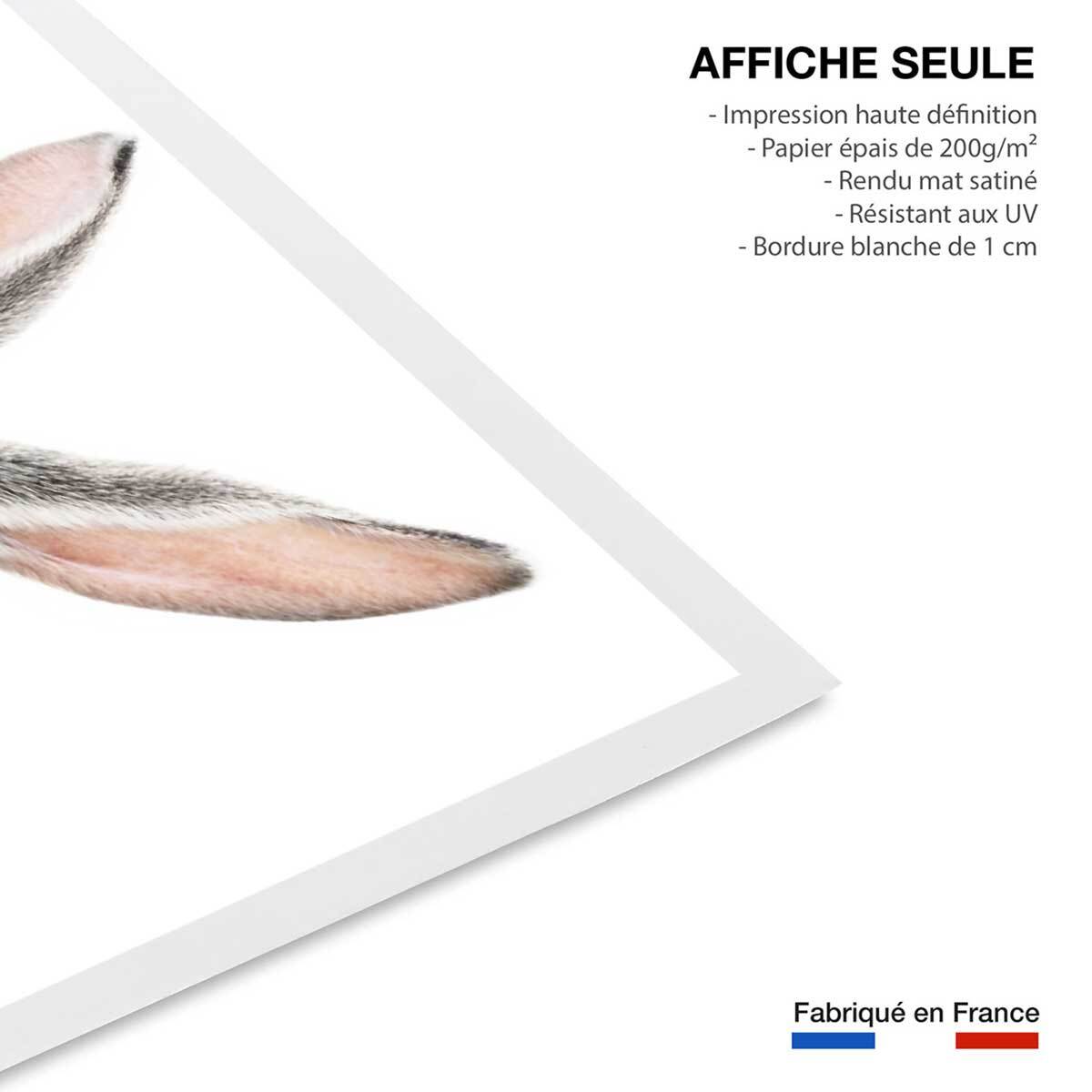 Affiche enfant lapin  Affiche seule