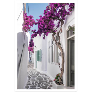 Poster bougainvilliers paros Affiche seule