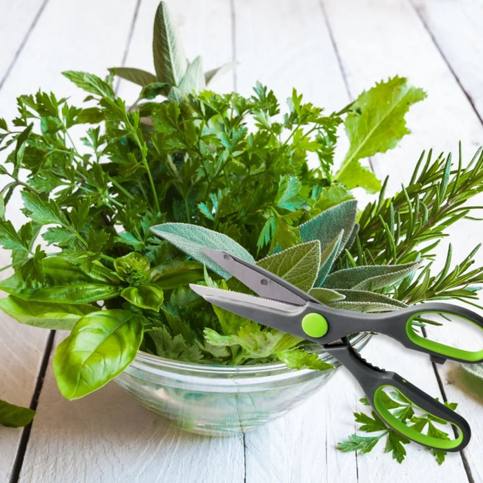 Ensemble de 2 Ciseaux de cuisine décapsuleur Nirosta