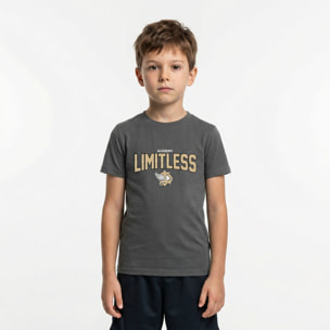T-shirt in cotone da uomo LIMITLESS grigio scuro