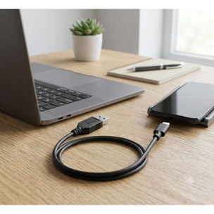 Câble USB C ESSENTIELB Câble vers USB 2M Noir compatible iPhone 17 16 15 Pro Max, Samsung Galaxy S25 S24 Ultra