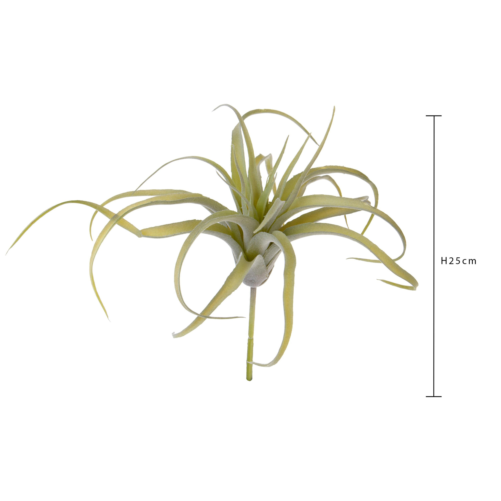 Tillandsia Per 21 25 Cm - Pezzi 6 - 10X25X10cm - Colore: Verde - Bianchi Dino - Piante Artificiali