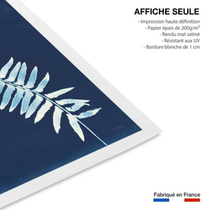 Affiche Fougère bleue Affiche seule
