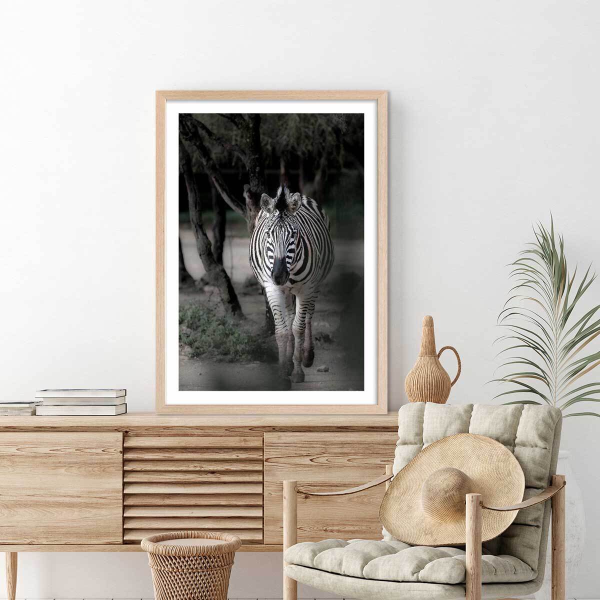 Affiche animaux zèbre en balade Affiche + cadre en bois - Chêne