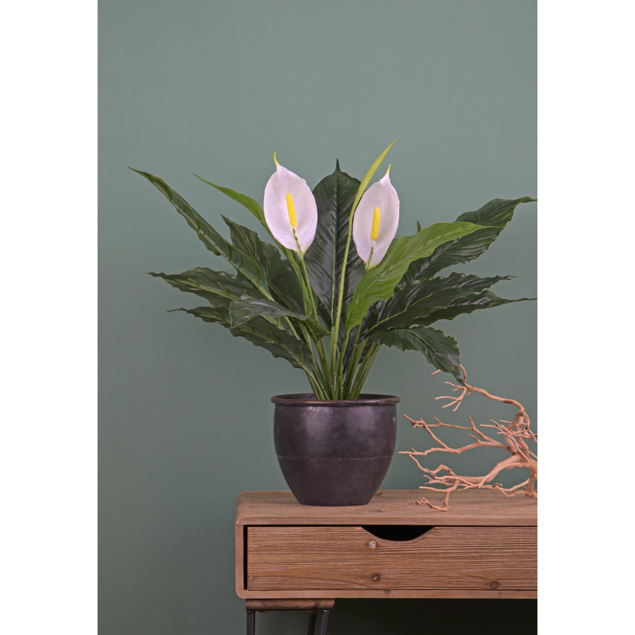 Spathipilium Con Vaso. Altezza 65 Cm - Pezzi 1 - 64X65X64cm - Colore: Verde - Bianchi Dino - Piante Artificiali