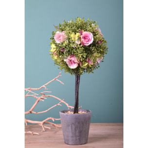 Rose Su Topiary. Altezza 27,5 Cm - Pezzi 1 - 17X27,5X12cm - Colore: Rosa - Bianchi Dino - Piante Artificiali