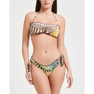 BRASILIANA SAMOTRACIA