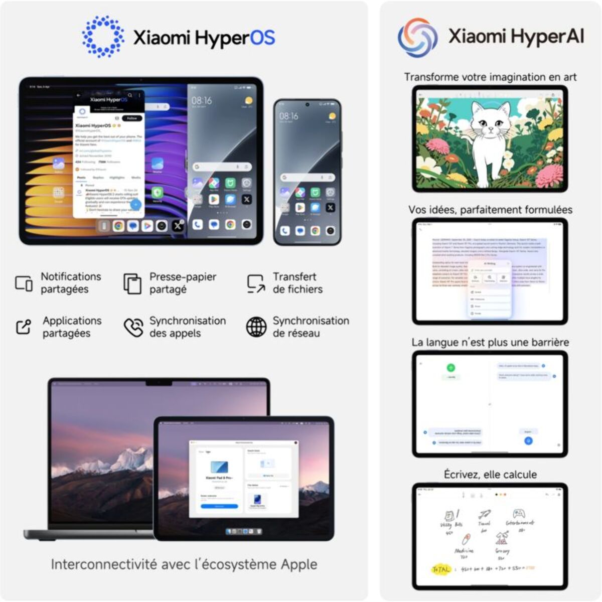 Tablette Android XIAOMI Xiaomi Pad8 Gris 128Go
