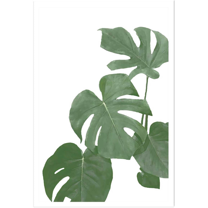 Affiche Feuilles de Monstera Affiche seule