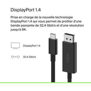 Connecteur BELKIN vers DisplayPort 1.4 noir 2M
