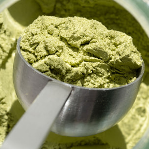 Pro Collagène - Matcha Cure de 28 Jours