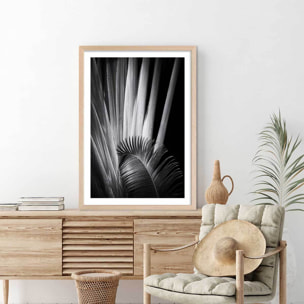 Poster jungle Marbella palm Affiche + cadre en bois - Chêne