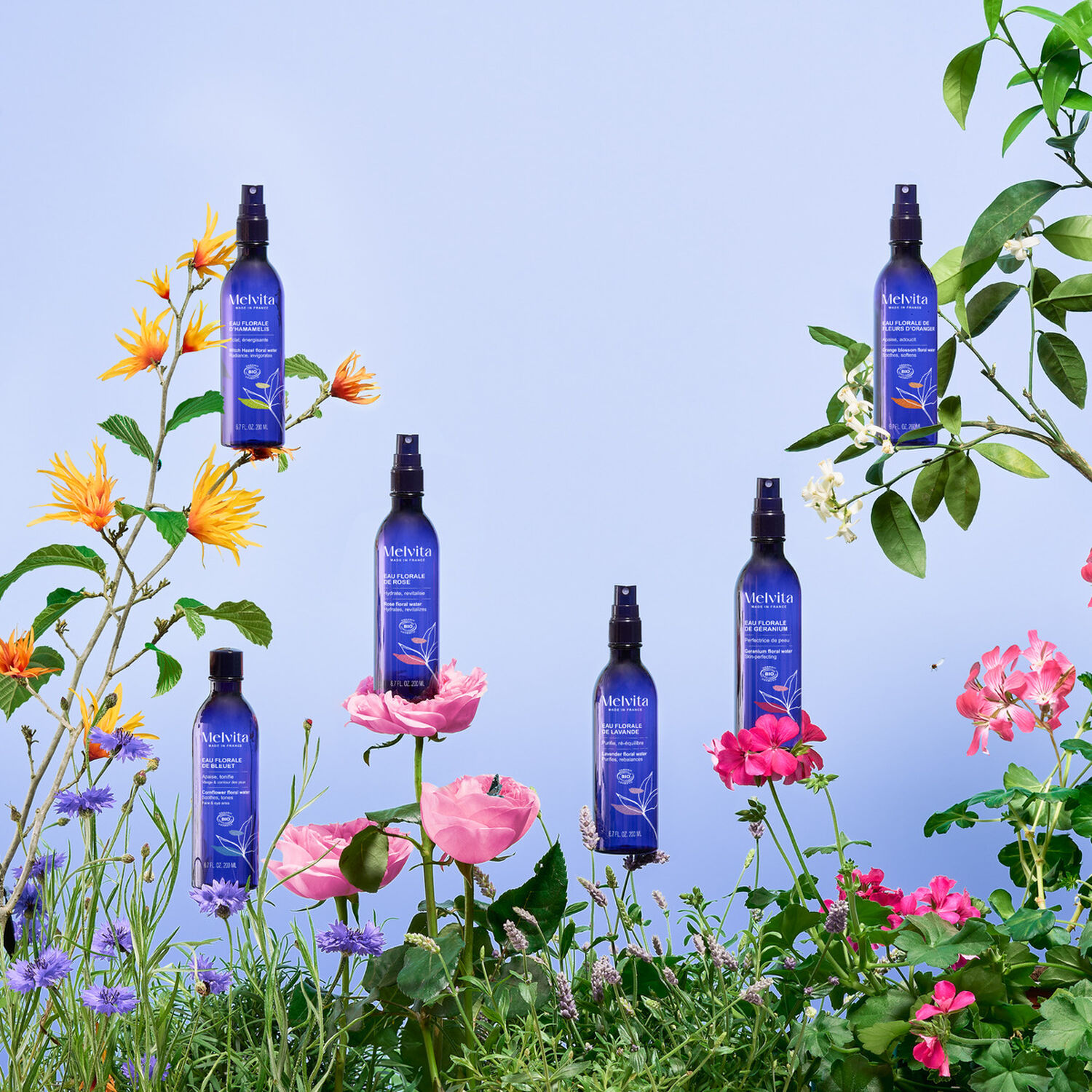 Eau Florale de Lavande Bio - Purifiante & Rééquilibrante 200 ml
