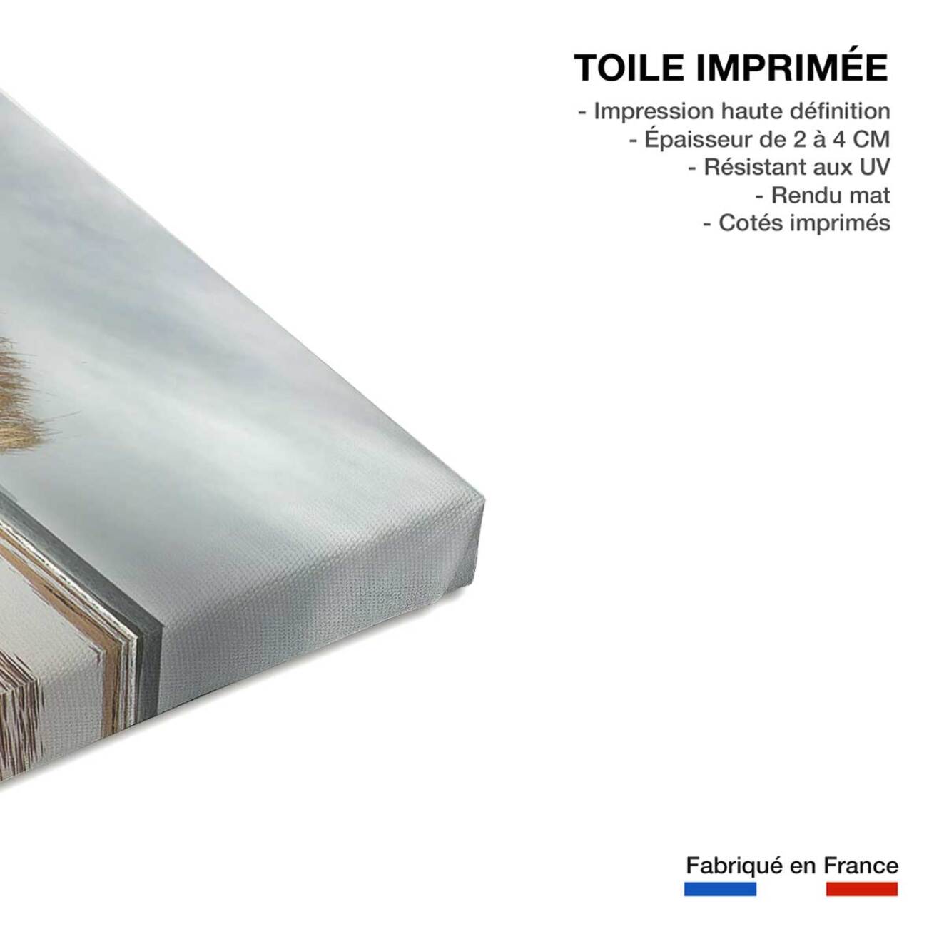 Tableau animaux zèbre Toile imprimée