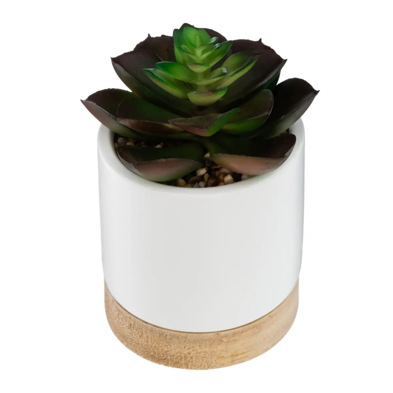 Succulente artificielle - pot en céramique - H12 cm