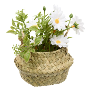 Composition de Marguerites Tifi H17cm