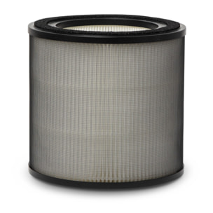 AEG Filtro de protección contra olores y gases Filtro para Multi 7000 AFFBTH2