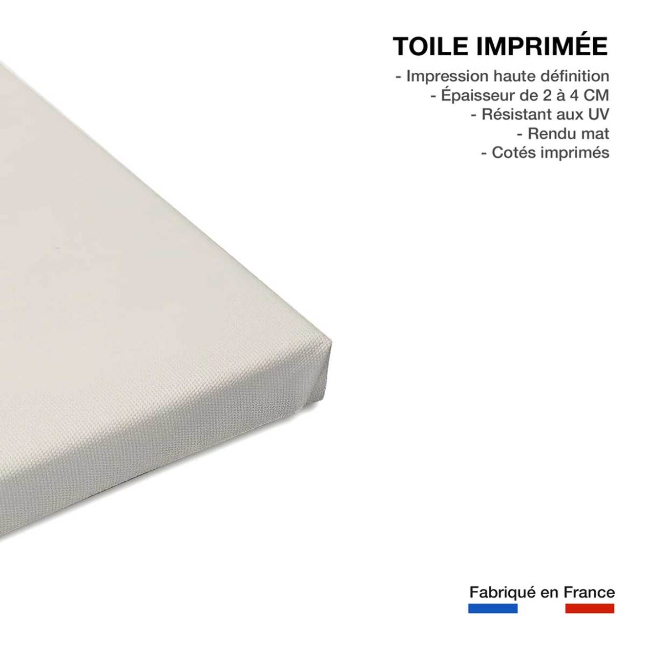 Tableau love birds Toile imprimée