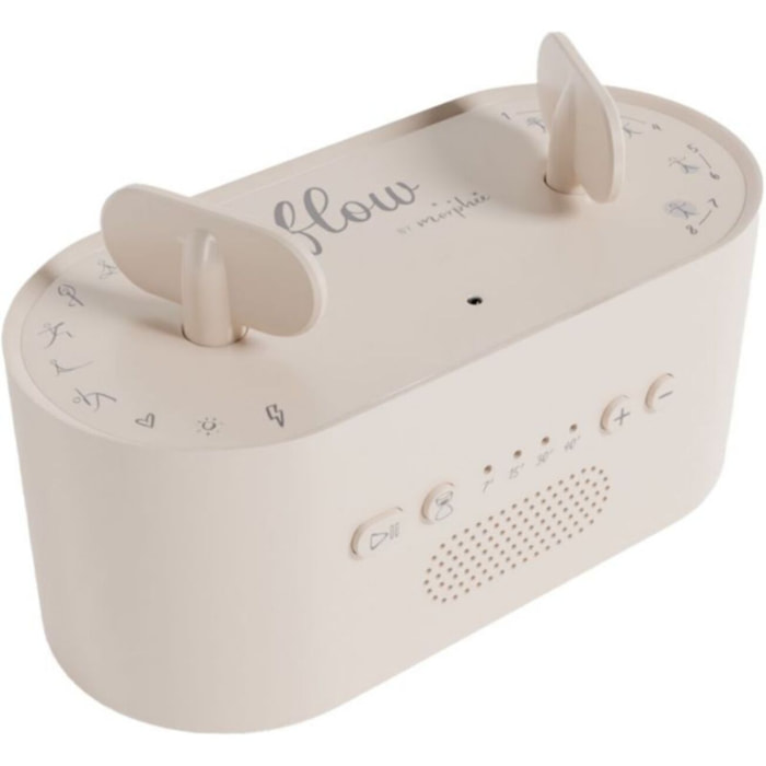 Box audio sport MORPHEE FLOW