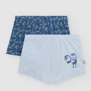 Boxer