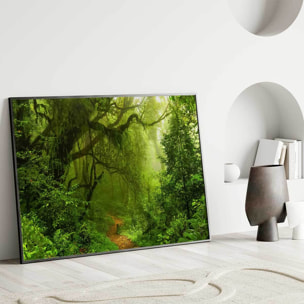 Affiche encadrée – Sentier en forêt tropicale Affiche + cadre en métal - Noir