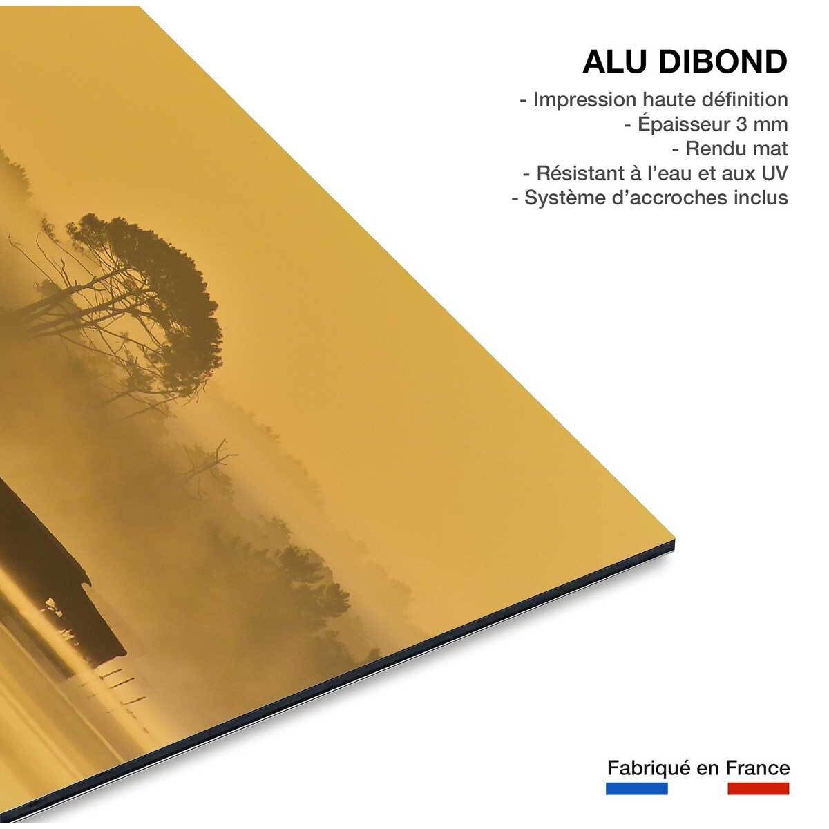 Tableau tonne landaise au petit matin Tableau alu Dibond