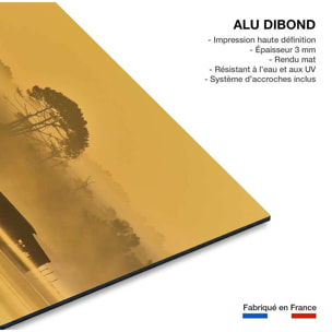 Tableau tonne landaise au petit matin Tableau alu Dibond