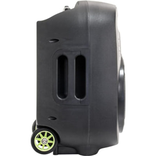 Enceinte sono IBIZA PORT12VHF-MKII